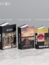 3 in1 Faux books